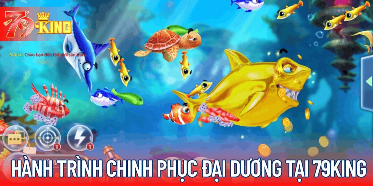 Hành trình chinh phục đại dương tại 79KING